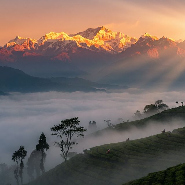 Sikkim & Darjeeling Explorer